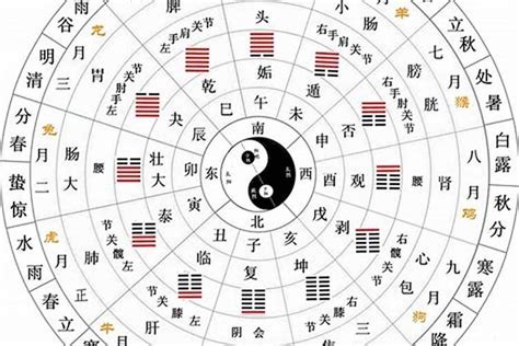 什么是天干地支|十天干十二地支